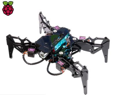 挑战树莓派 RISC-V 微型计算机 PicoRio 发布与计算机软硬件技术开发前瞻